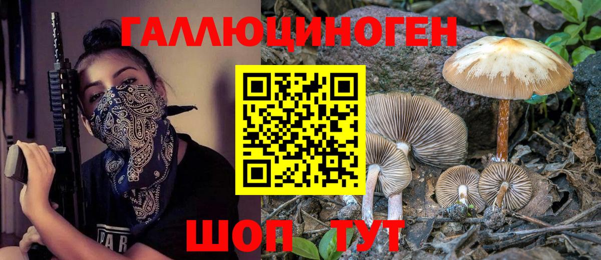 Псилоцибиновые грибы мицелий Куйбышев