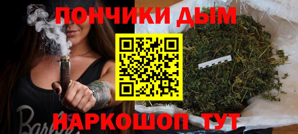 Бошки Шишки планчик Куйбышев